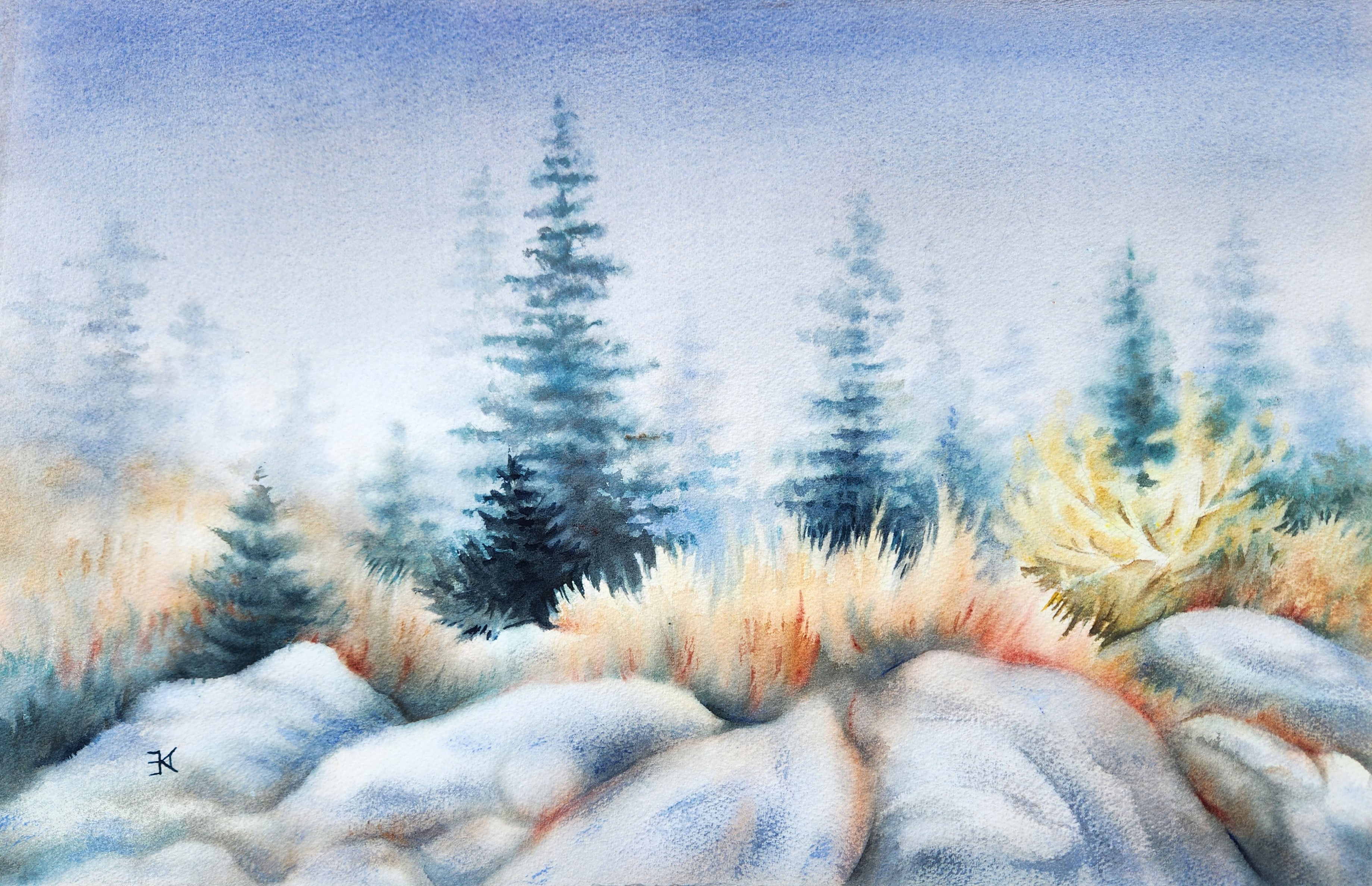 Cadillac Mountain Mist